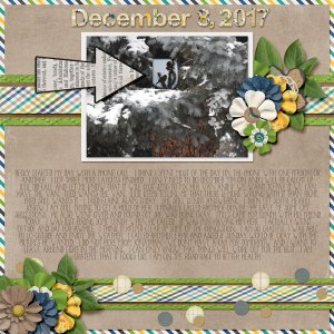 12-December_8_2017_small
