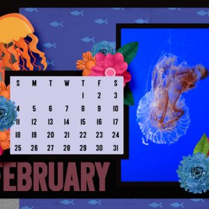 Feb 2018