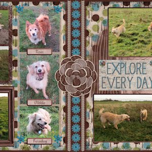 Explore Every Day