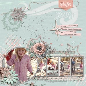 Snow Dec. 26, 1989