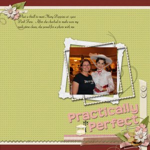 Practically-Perfect