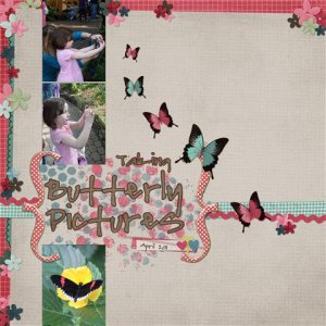 Butterfly Pics