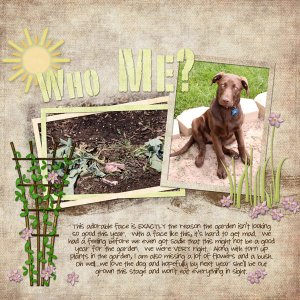 Dog-in-GardenWEB