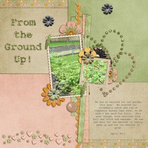 From the Ground Up!