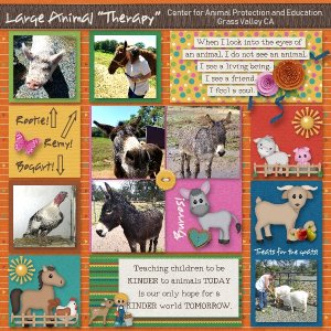 Large Animal "Therapy"