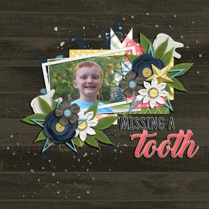 Missing a Tooth