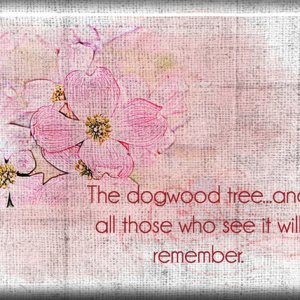 ATC 2018-007 The Dogwood Tree
