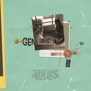 Genuine Curiosity | Sept. 2017
