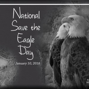 ATC 2018-008 National Save the Eagle Day