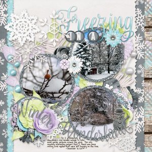 Freezing in a Winter Wonderland