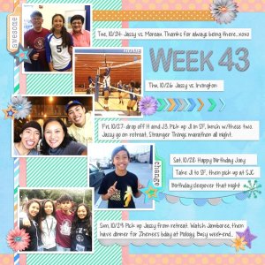 PL2017-Week 43