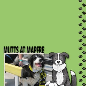 Mutts at Mapfre