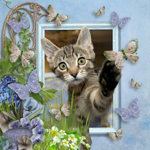Autumn Needs a Home