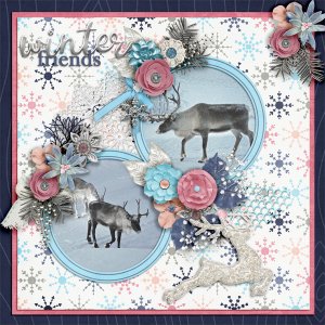 Winter-friends