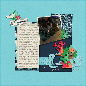 Touch Tank