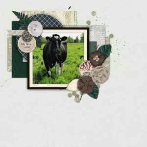 My_fave_cow