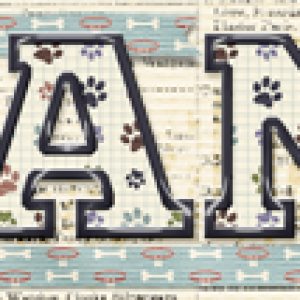 Jan's January 2018 Siggie