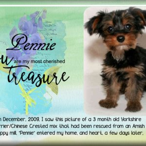 Pennie