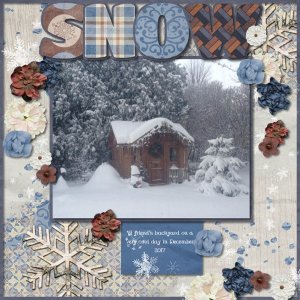 Snowy Day