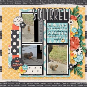 Squirrel!