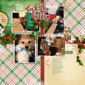 Pets Christmas
