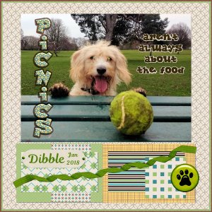 Picnics for Dibble
