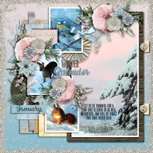 Winter-splendor1