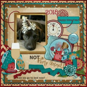 2018_01 _NOT a Party Animal v2