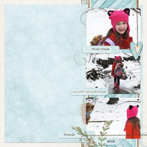 winter walk in the woods