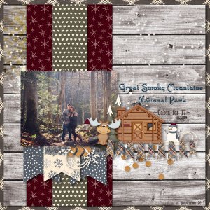 Great Smoky Mountains National Park: Cabin for 17