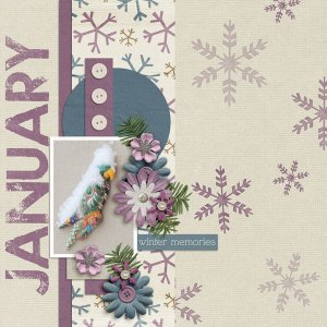 January Snow