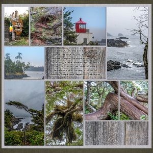 Wild Pacific Trail