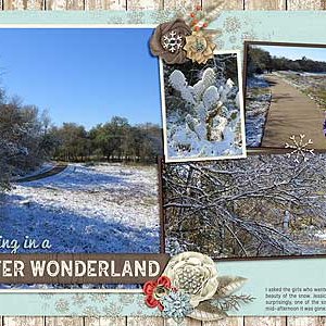 Walking in a Winter Wonderland