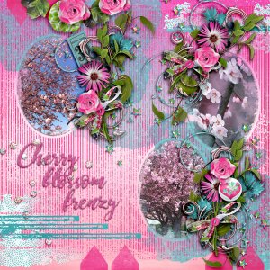 Cherry-blossom-frenzy