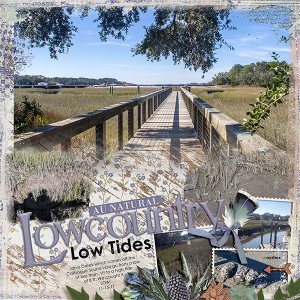 Lowcountry Low Tides