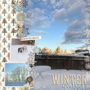 ~Winter Weather~