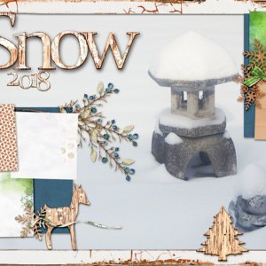 Snow 2018
