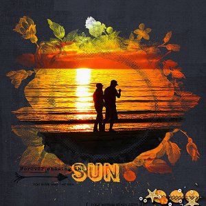 Forever Chasing the Sun