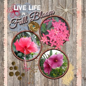 Floral_Profusion_small
