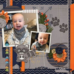 Little Critter