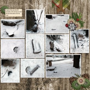 Accident_Debris