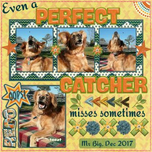 Perfect Catcher
