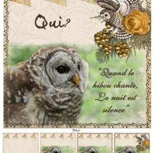 Qui? (Who?)