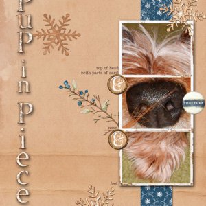 Pup in Pieces