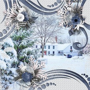 A Winters Day
