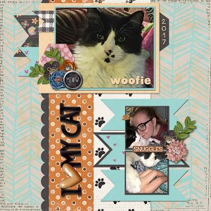 I Love My Cat