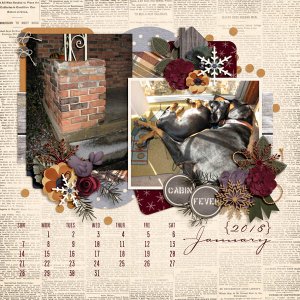 January calendar