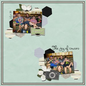 The joy of cousins - color challenge