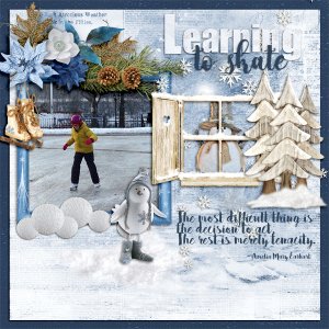 Learning-to-skate