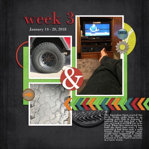 Weeks 3 2018